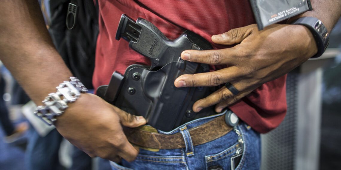 Non-Citizens Granted Gun Ownership: Federal Priorities Questioned Again