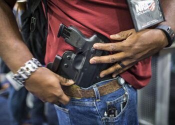 Non-Citizens Granted Gun Ownership: Federal Priorities Questioned Again