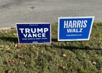 Opinion: Political Yard Signs Are More Revealing Than Usual This Year