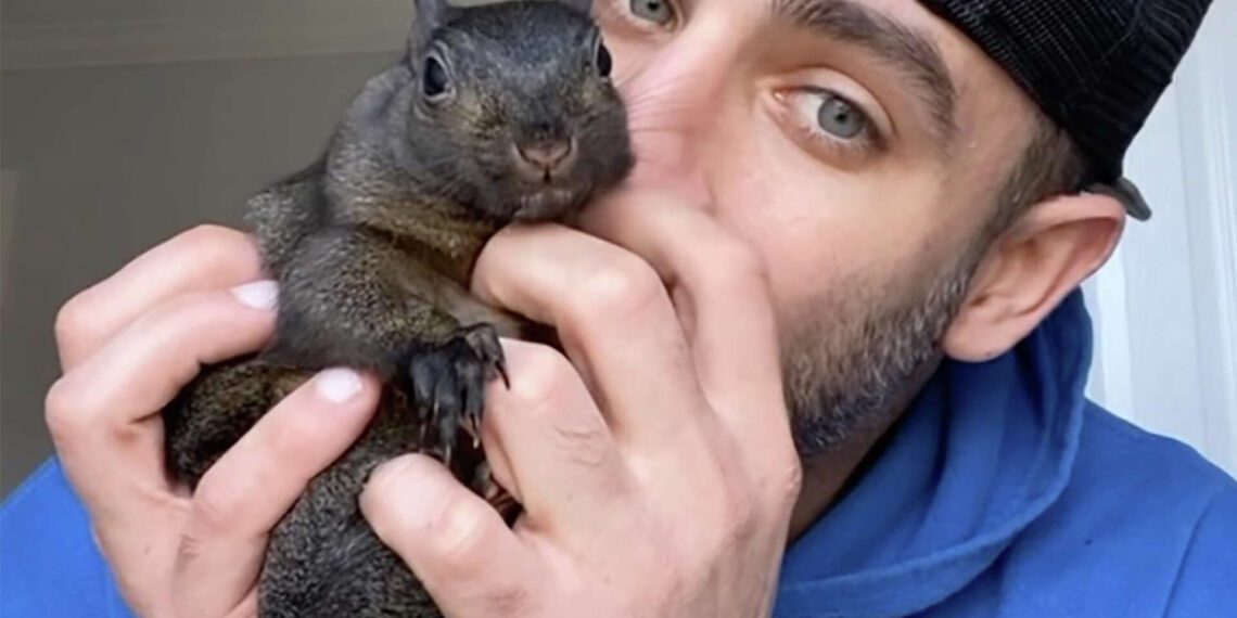 Opinion: Peanut the Squirrel and an Election Brought into Focus at Last
