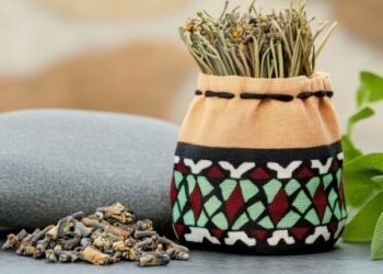 Vargas: Trump, RFK Jr. Won’t Neglect Native American Health