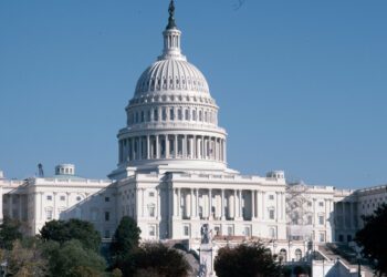 ECONOMOS: Rethinking Temporary Protected Status