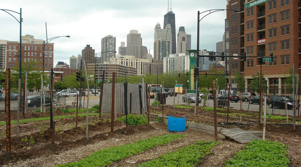 Economos: Farming Isn’t Just Rural – It’s Everyone’s Business