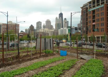 Economos: Farming Isn’t Just Rural – It’s Everyone’s Business