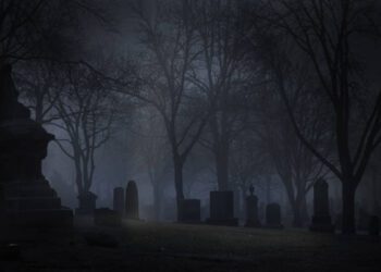 Opinion: Why Democrats Choose Death Over Life