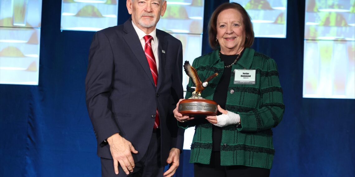 “PillowGate” Scandal Deepens: New Evidence Ties GOP Leader Norine Hammond Directly to Her Husband’s Taxpayer-Funded Decorating Firm