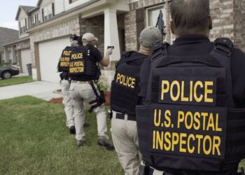 Illinois GOP Accused of Illegal Postage Scheme to Protect Norine Hammond From Conservative Challenger