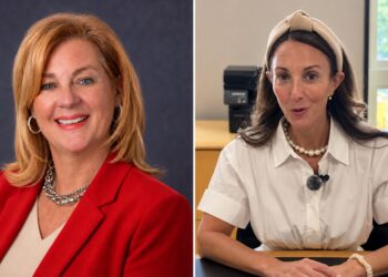 Chicago Tribune Endorses Liz Gorman, Rebukes Elyse Hoffenberg for Using Public Office to Block FOIA Request